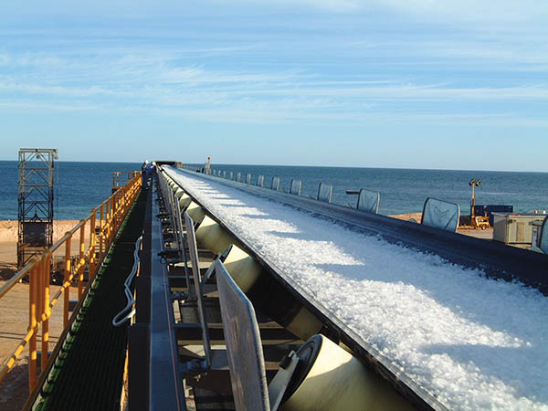 salt conveyor